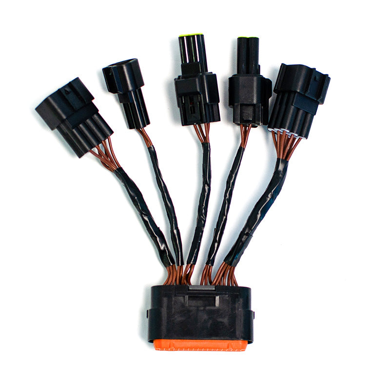 Faisceau de Câblage de Remplacement pour Contrôleur Torp TC500 & TC1000 / SUR-RON Light Bee