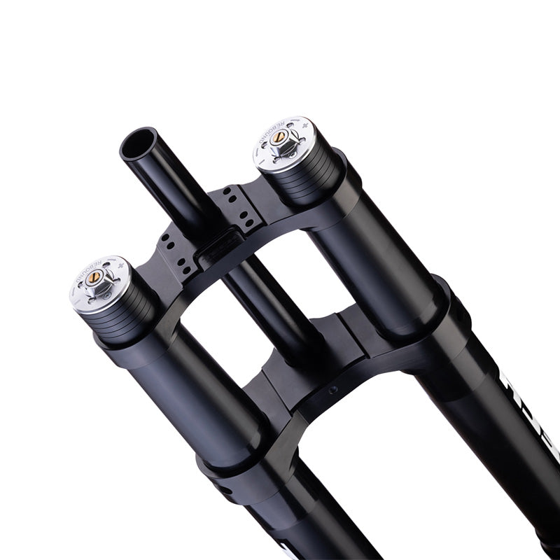 Fourche Formula Tech E39 230mm / SUR-RON Light Bee, ERide Pro & Talaria