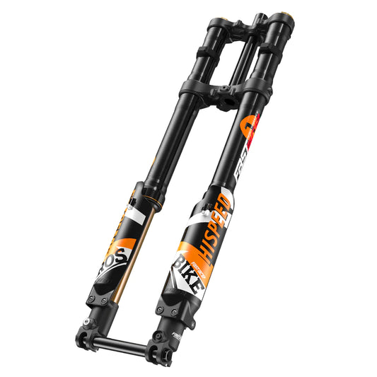 Fastace ALX13RC 2.0 / SUR-RON Light Bee and TALARIA Sting fork