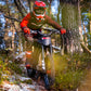 JW'Custom: SUR-RON Light Bee / BlackBird 15kW