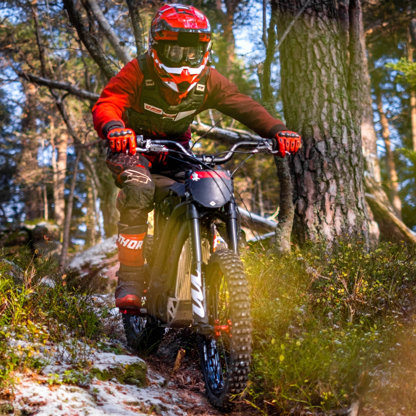 JW'Custom: SUR-RON Light Bee / BlackBird 15kW