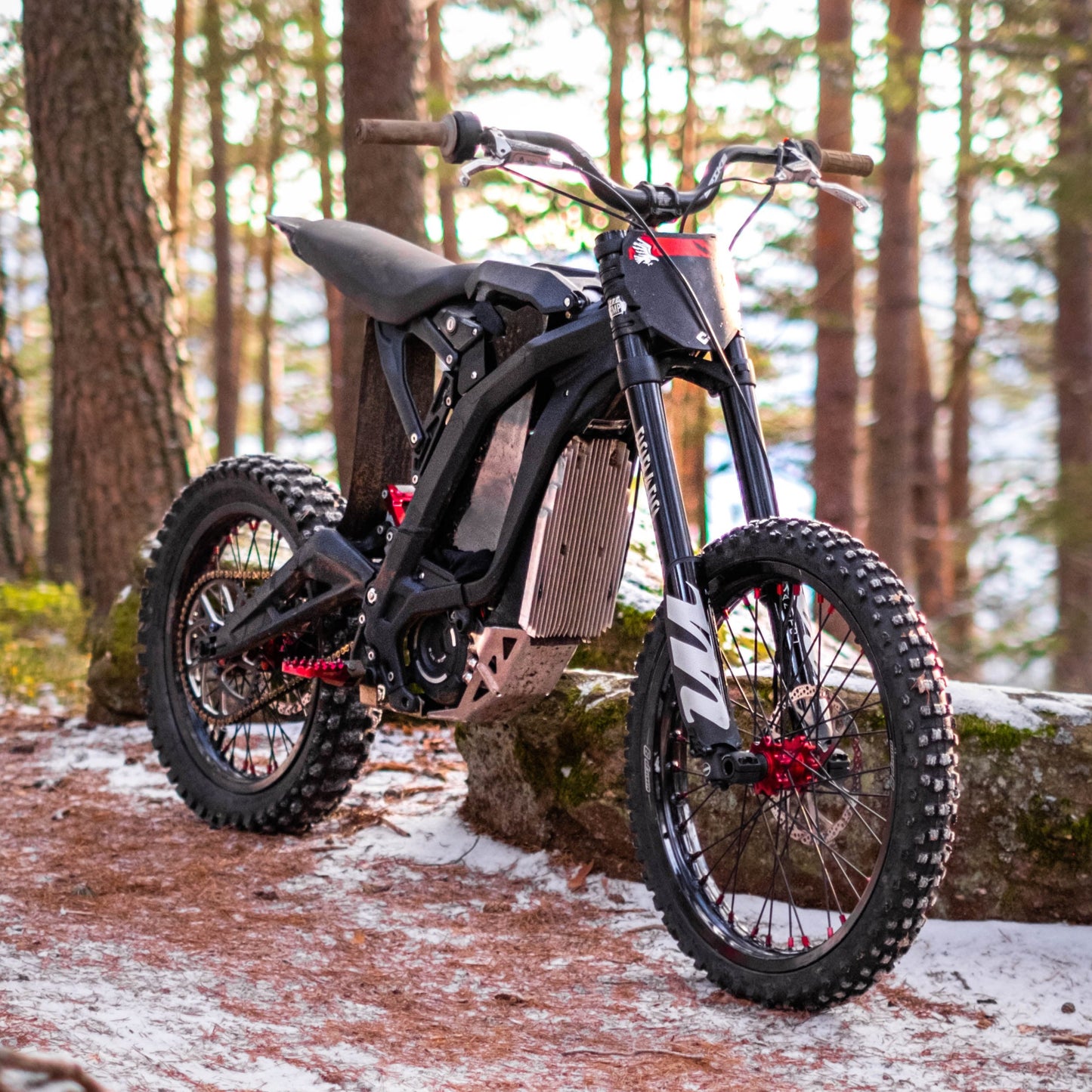 JW'Custom: SUR-RON Light Bee / BlackBird 15kW