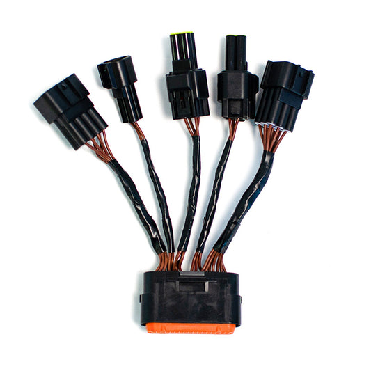 Faisceau de Câblage de Remplacement pour Contrôleur Torp TC500 & TC1000 / SUR-RON Light Bee
