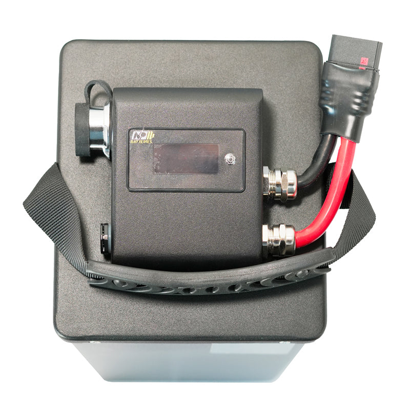 NP Batteries 2026 / SUR-RON Light Bee