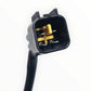 12V / SUR-RON Light Bee Konverter
