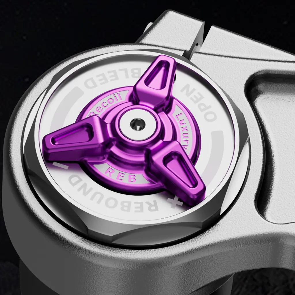 RFLOXA / E-MOTO Gabel und Stoßdämpfer