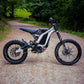60V65Ah Batterie „JW Limited Edition“ / SUR-RON Light Bee